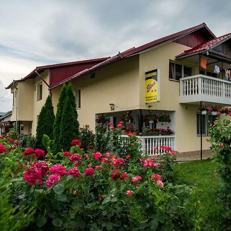 Pensiunea Elena Tasnad Buitenkant foto
