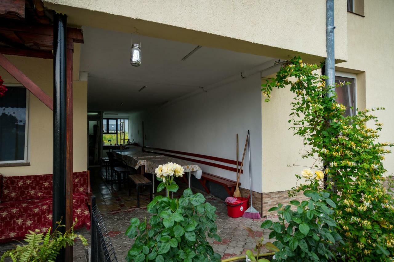 Pensiunea Elena Tasnad Buitenkant foto