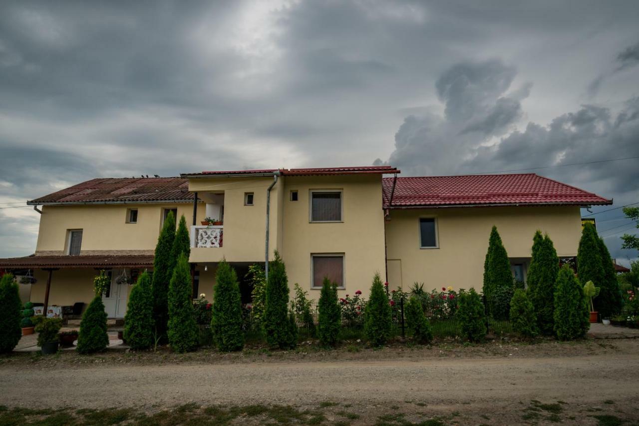 Pensiunea Elena Tasnad Buitenkant foto