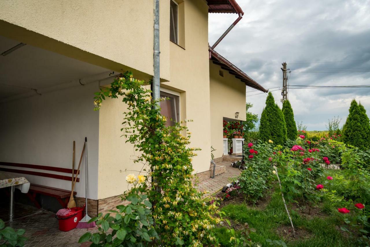 Pensiunea Elena Tasnad Buitenkant foto